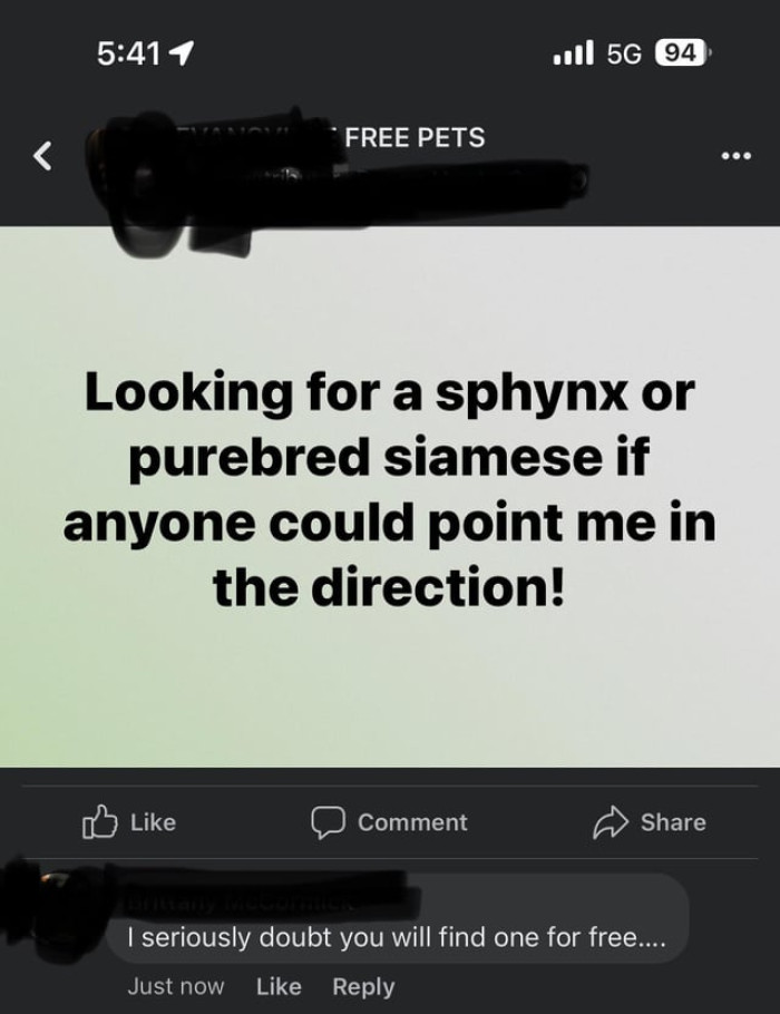 And here's the screenshot