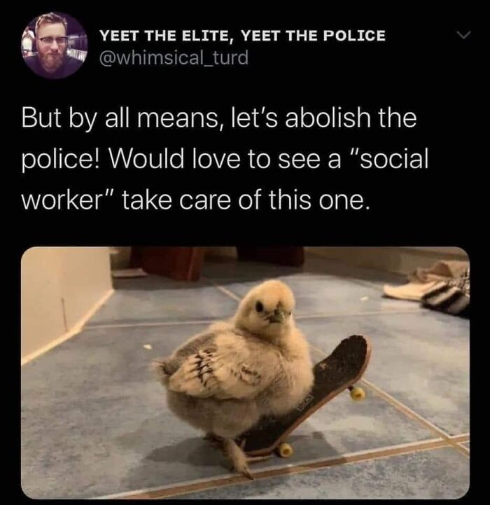 Close-up of a bird near a foot, with comedic “call ambulance” vibe.