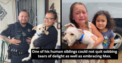 Little Girl Couldn't Hold Back Tears of Joy When She Finally Reunited with Her Lost Dog