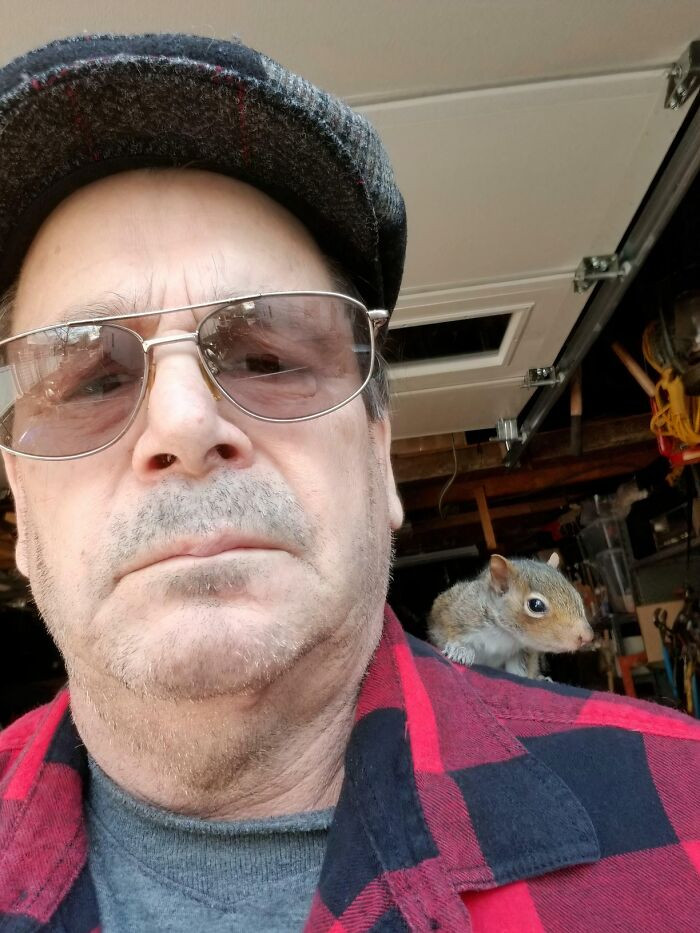 "My Dad Called Me And Told Me His Golden Retriever Found Half Alive Baby Squirrel. He Rescued It And Fed It. This Is Them A Few Days Later. It Won’t Leave His Side"