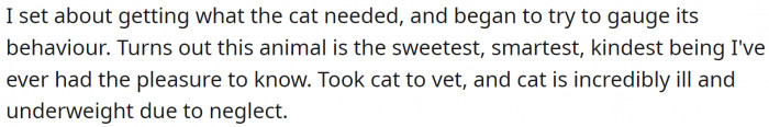 It turned out that the animal was sweet and well-behaved (despite what its owner said)