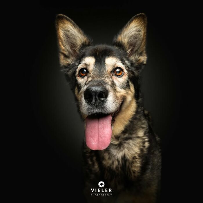 10. Forever alert and a little cheeky