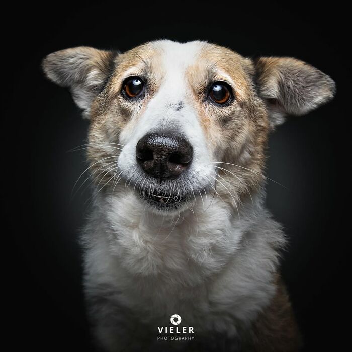 22. You can almost see the stories behind those eyes