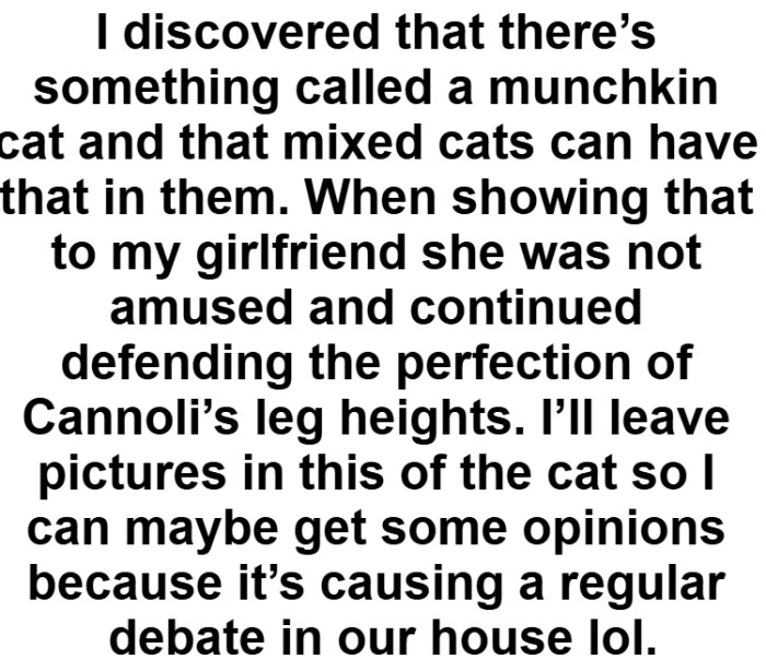 She was not amused and continued defending the perfection of Cannoli’s leg heights
