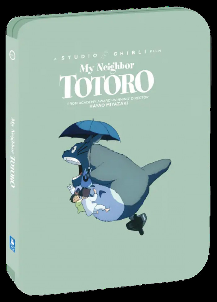 10. A DVD of any Studio Ghibli that you can pop in your player whenever you're up for it.