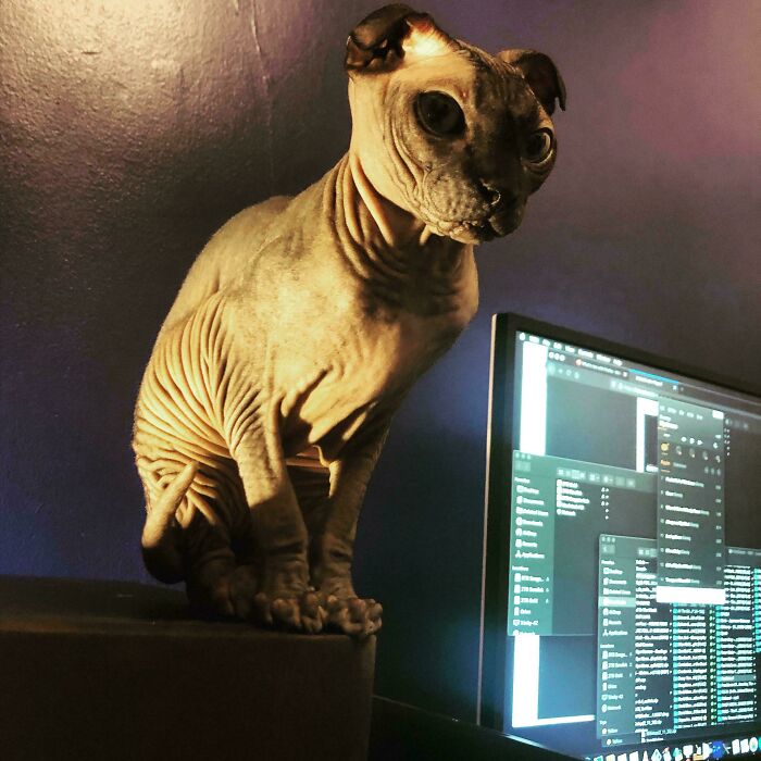 2. Don’t let that face fool you.