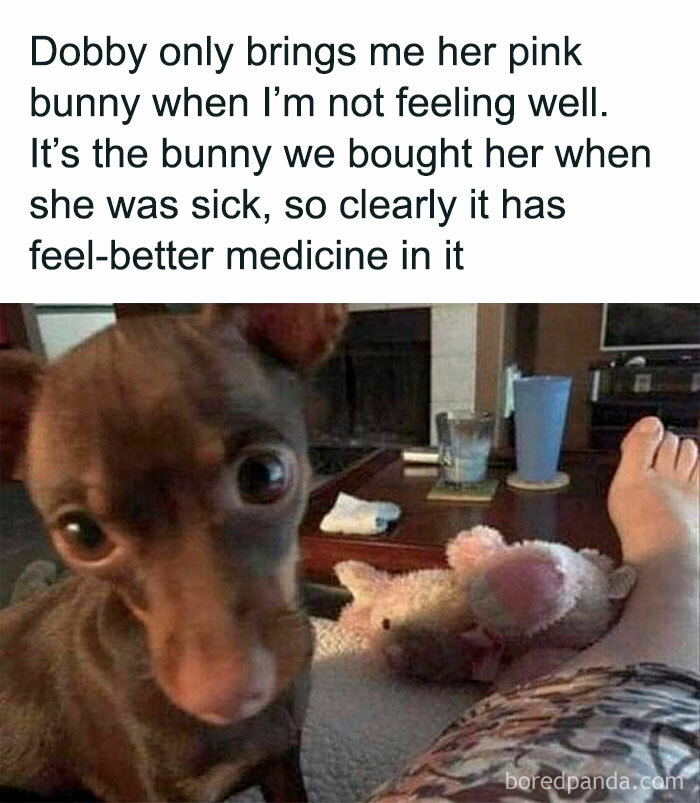 Awww... That's very thoughtful of Dobby!