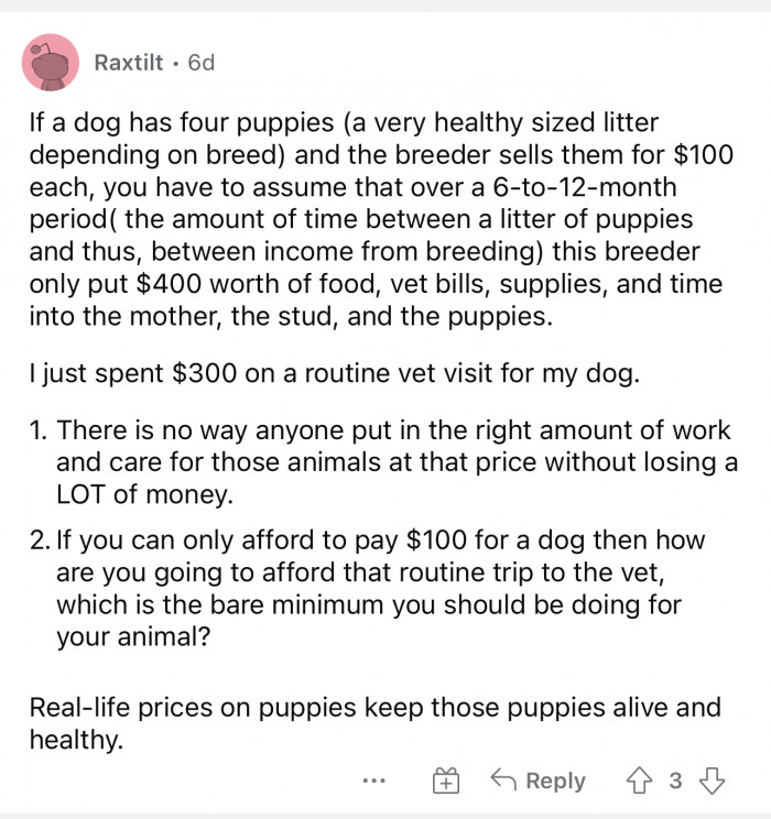 A cheap price could mean an unhealthy dog or not a purebred dog. Paying the price is worth it.