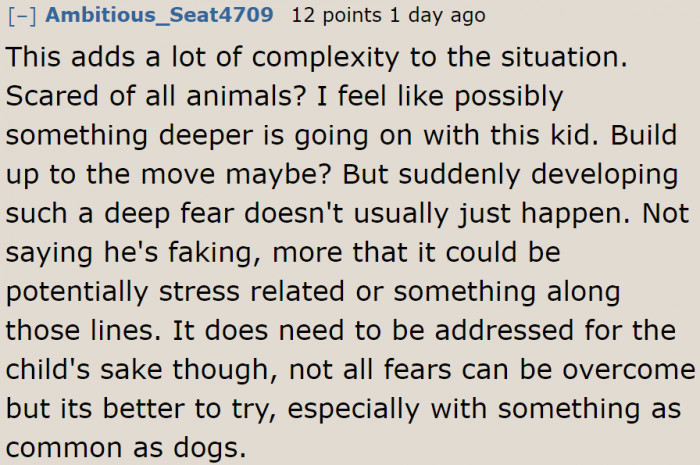 They can always try to address the son's fear of dogs.