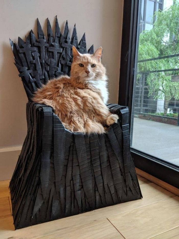 This cat is the true heir to the iron throne.