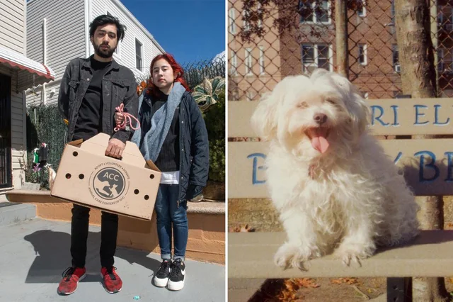 Let’s dig into the details