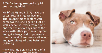 Redditor Furious At Her BF For Getting Her Dog High, Questions Their Whole Relationship