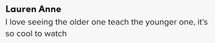 The older ones teaching the younger ones is a lovely thing to watch