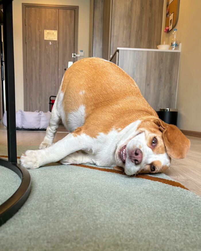 29. “When you try yoga once and immediately pull something you didn’t know existed.”