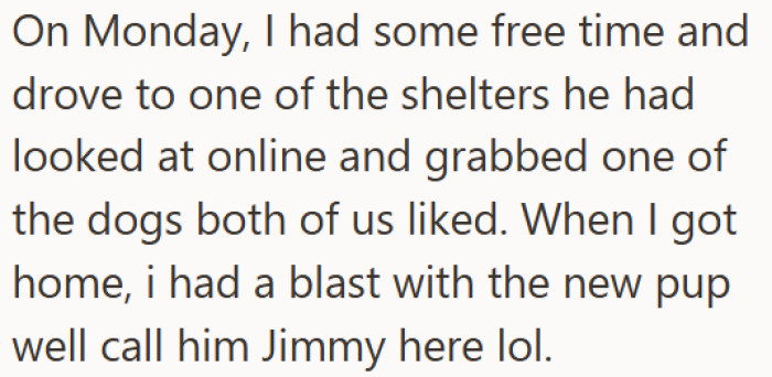 When OP had a free day, they went to the shelter and brought home the dog—a mutt they've since nicknamed Jimmy. OP had a great first afternoon with him, but things took a sharp turn when Aubrey got home.