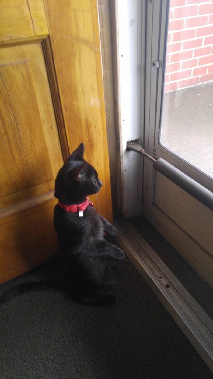 8. When will they give me some snacks, or should I just man up and go demand it from them?