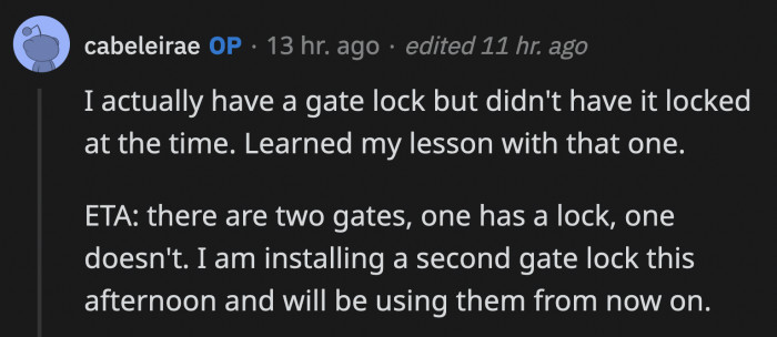 In another comment, OP replied that she does have a lock in one of her gates but not the other, so she will be installing that to avoid unwelcome intruders in the future.
