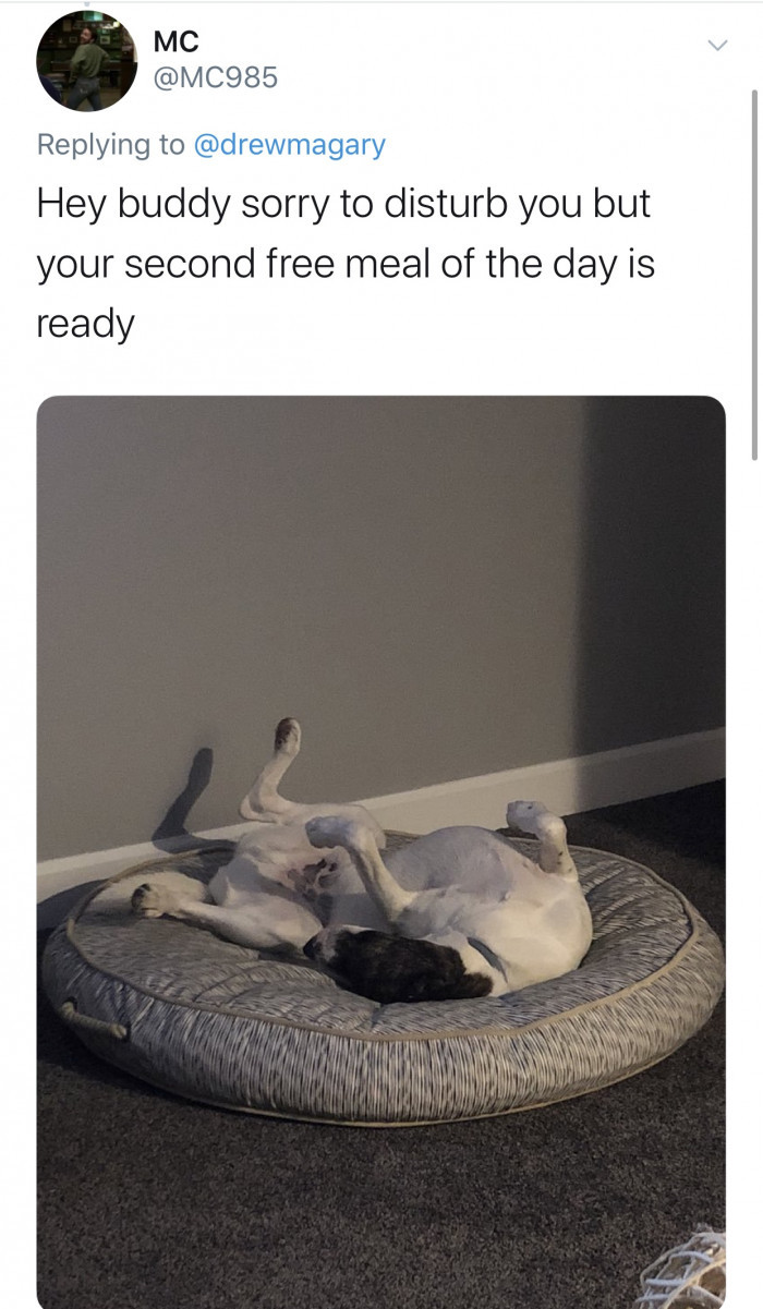 #5 How is he having a SECOND free meal and doing nothing?