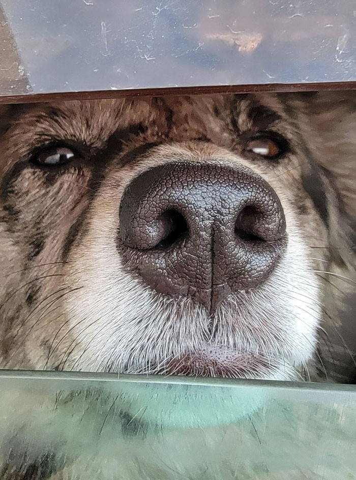 Just observing my environment