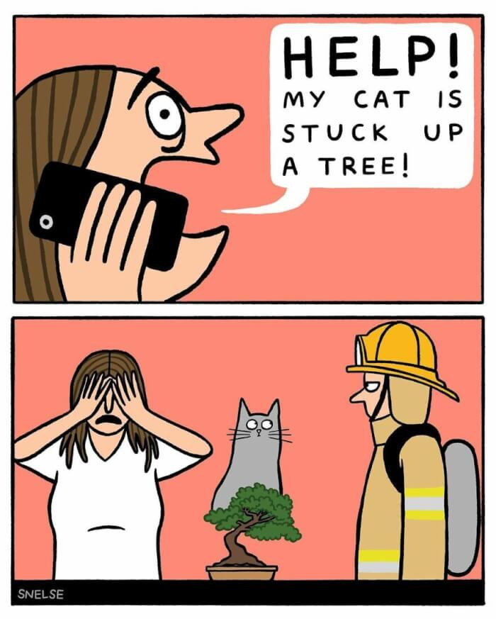 9. Cat gets stuck in a tree