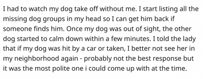 My dog took off without me and the other dog started calming down