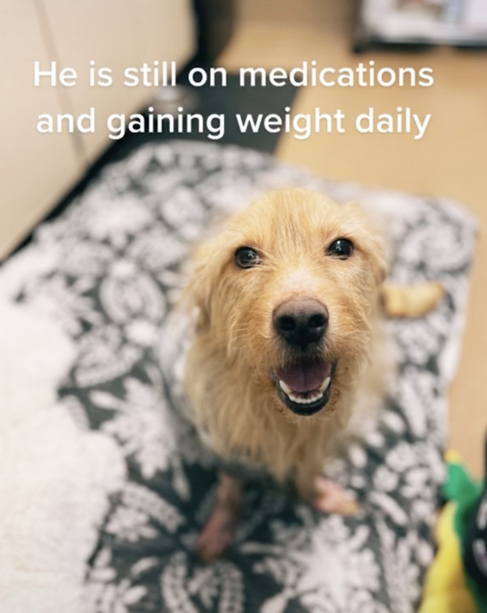 He is slowly getting better each day