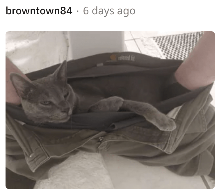 21. And I'll lay comfy