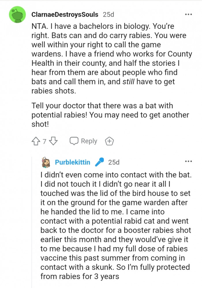 Bats can and do carry rabies