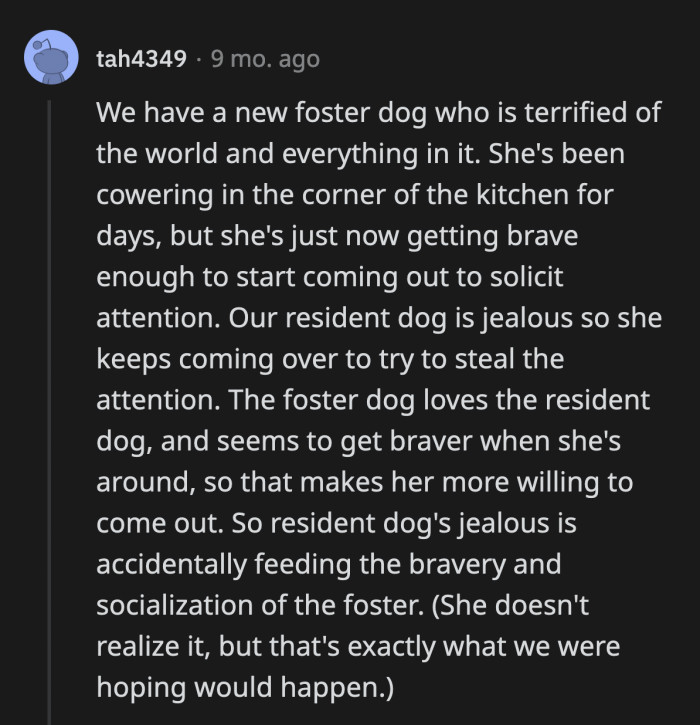 10. Now, this is just cute