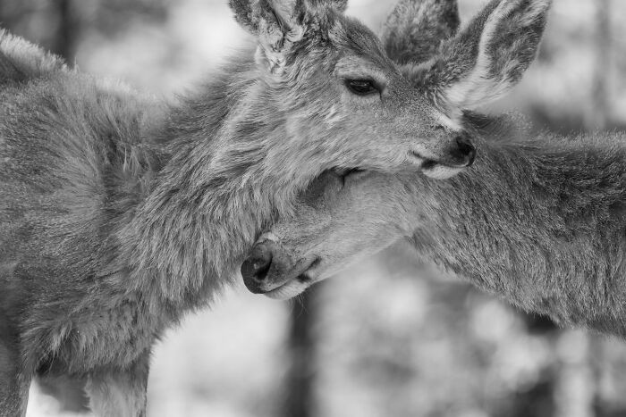 “Warm Moment” By Rebecca Stone