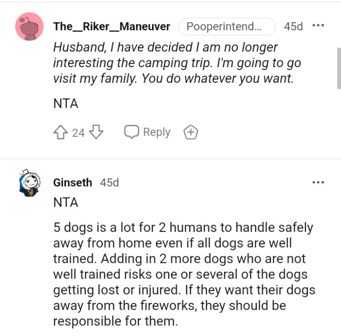 They should be responsible for their dogs if they want them away from the fireworks.