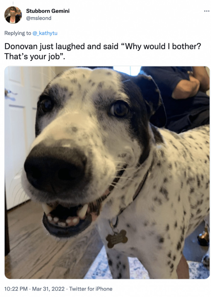 That's Your Job, Not Mine