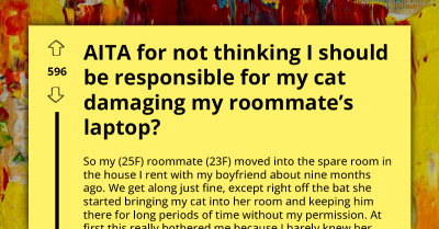 Dispute Arises As Woman Claims Forewarning Absolves Her Of Her Cat's Actions