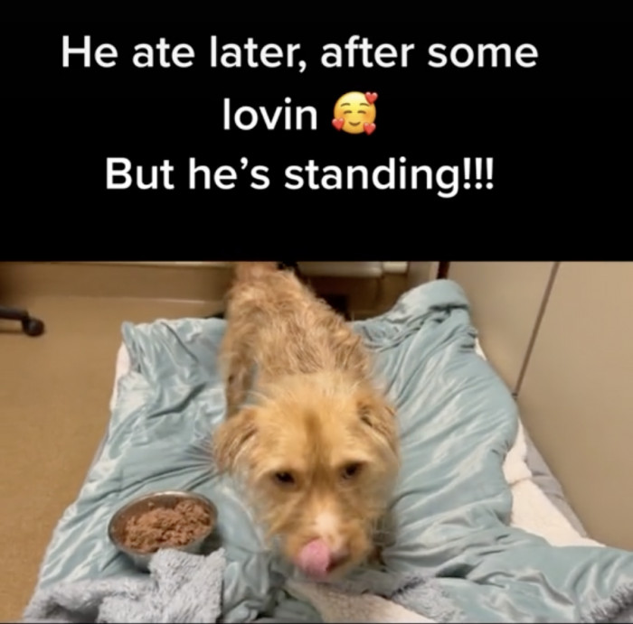 Progress! He can stand now!