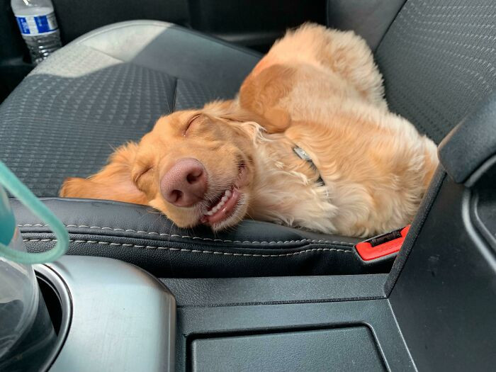 "When You're Tired But You Had So Much Fun At The Park"