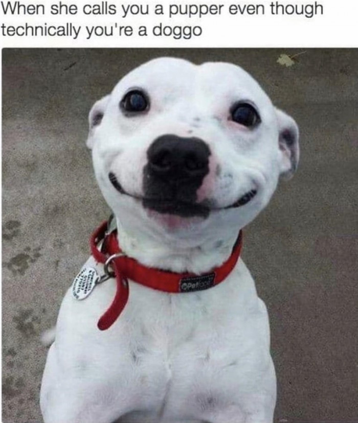 12. It's the smile for me