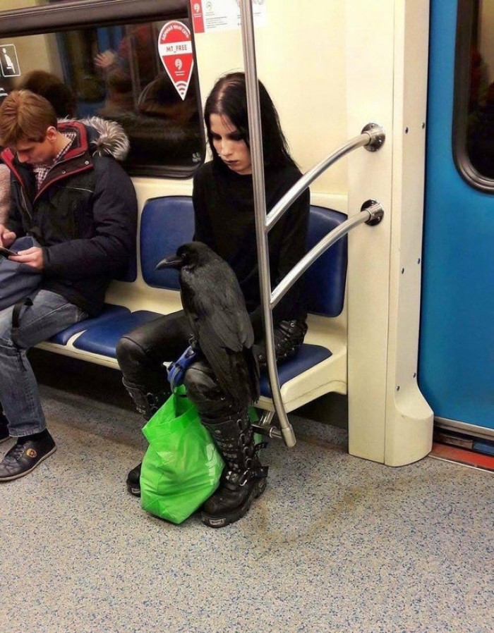 27. Sure, you might THINK you're goth, but unless you dejectedly ride the subway with your raven, you may as well hang up your black velvet frock coat and hit the beach.