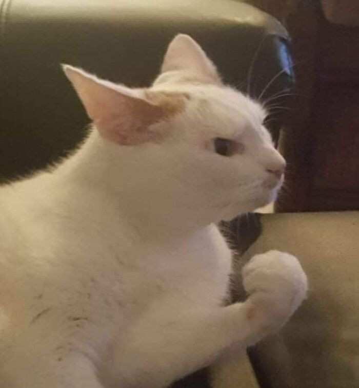 10. Vengeance will be mine