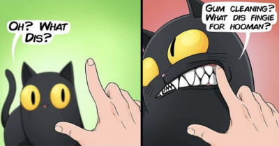 41 Hilarious Comic Strips That Perfectly Depict The Perks Of Owning A Cat