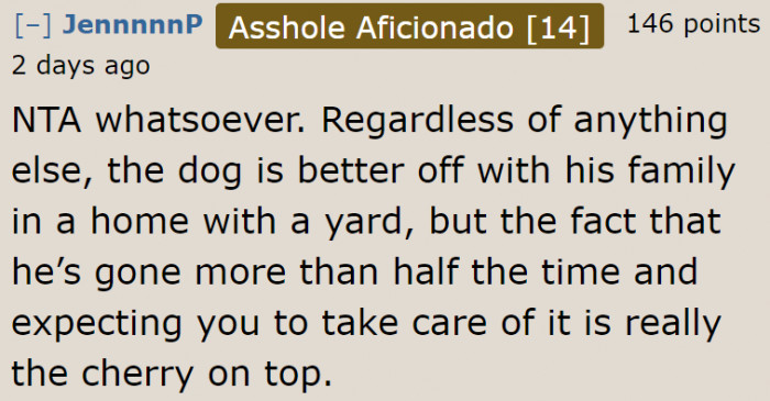 It was the best decision for the dog.