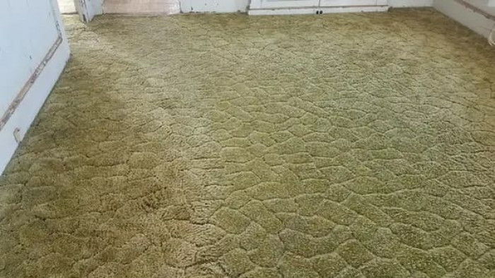 26. You're Old If You Still Remember This Carpeting