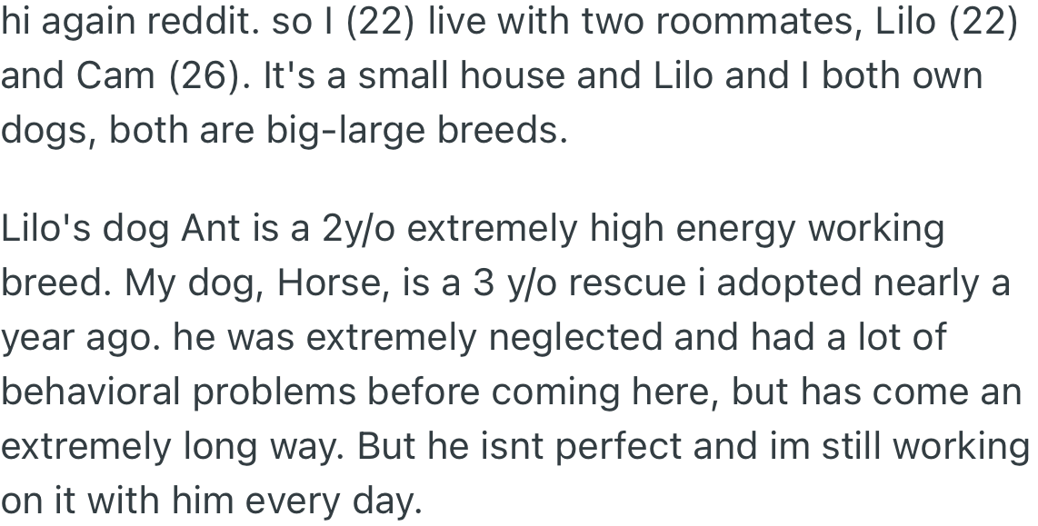 OP has a dog and two roommates, one of whom also owns a dog. OP’s rescue dog (Horse) has behavioral issues; however, it has been undergoing training.