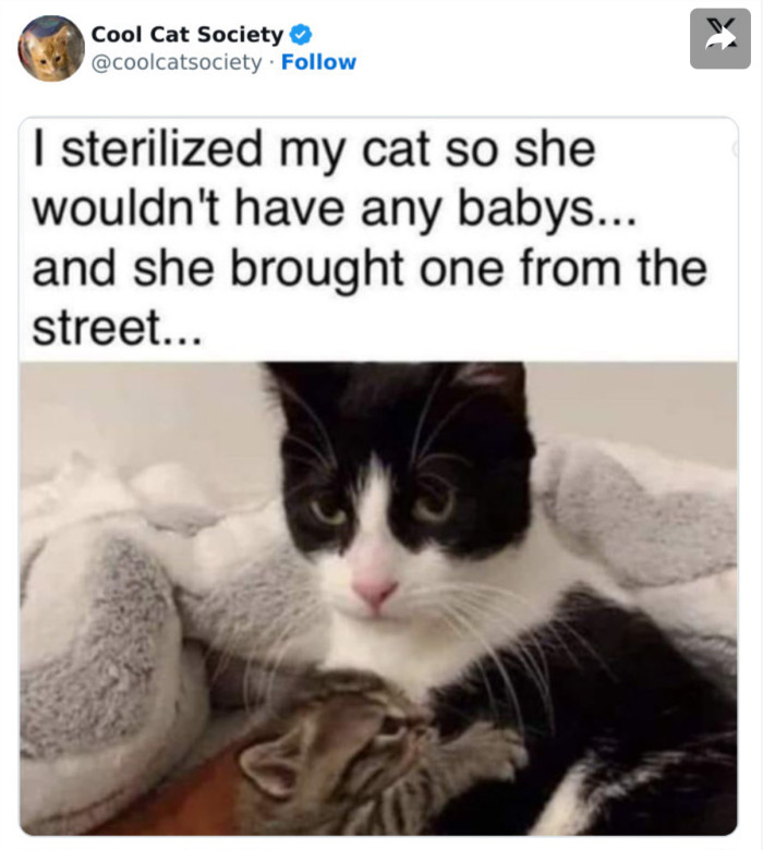 4. She’s eager to be a mom by all means