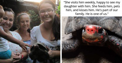 Woman Finds A Tortoise In Her Attic And It Turns Out To Be A Pet Her Mom Lost 30 Years Ago