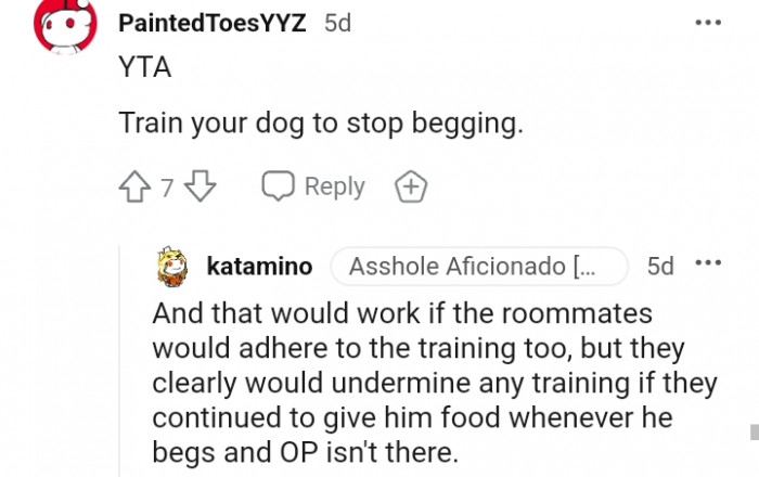 3. Train Your Dog to Stop Begging