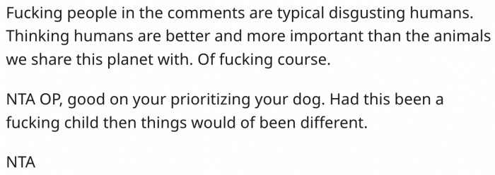 19. Dogs are just as important as humans.