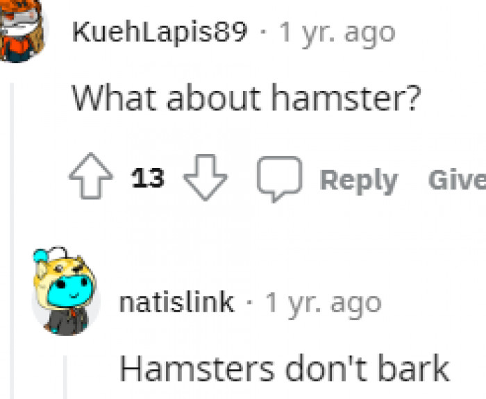 9. Do hamsters really bite?