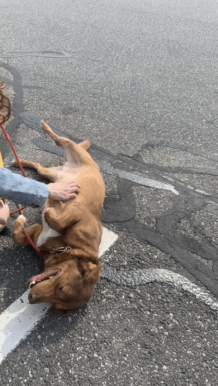 5. "1 year to the day of my man's passing."