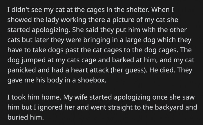 She dropped the cat off at a shelter and encountered an animal that terrified him, which promptly led to a heart attack that killed him.