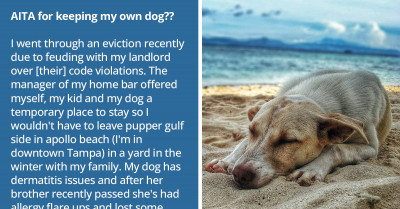 Redditor Accepts Help With Vet Bills From Friend, Now They Want To Keep The Dog As Payment